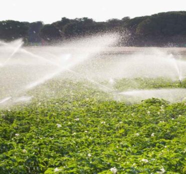 portafolio-agricultura-1