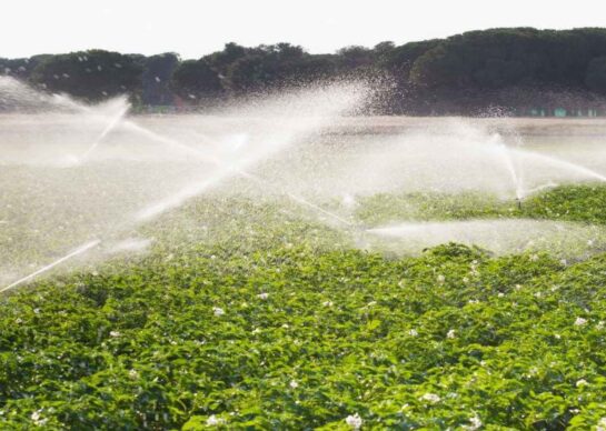 portafolio-agricultura-1