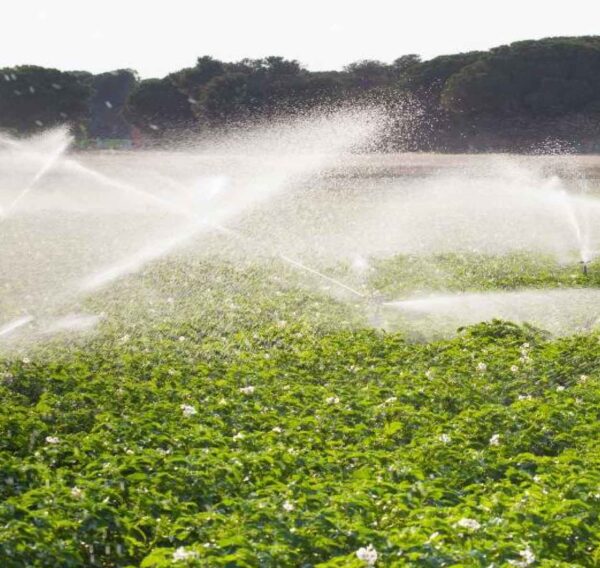portafolio-agricultura-1