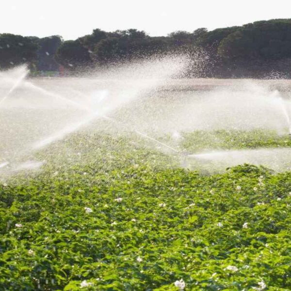 portafolio-agricultura-1