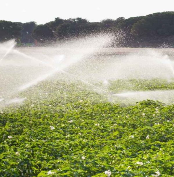 portafolio-agricultura-1
