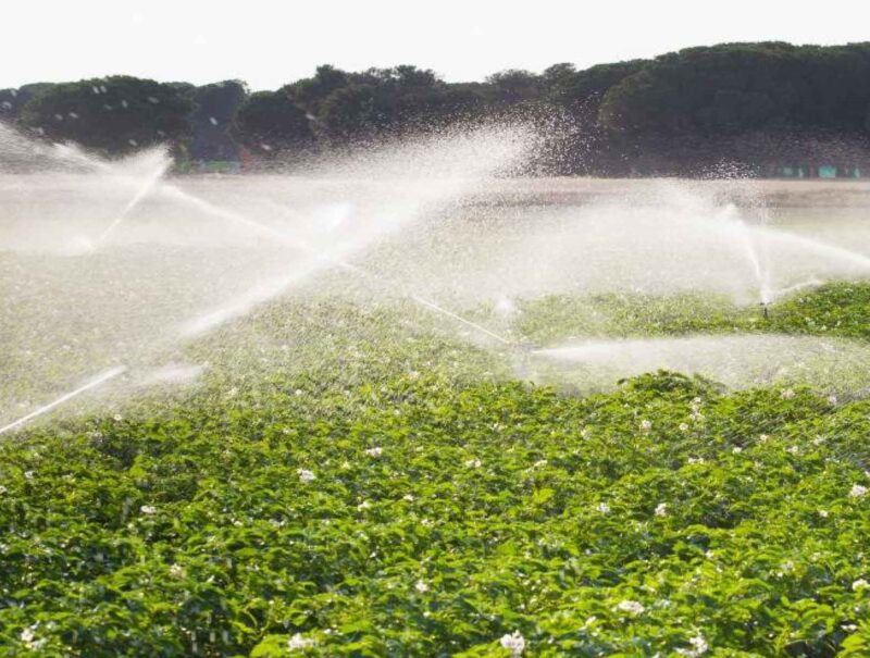 portafolio-agricultura-1